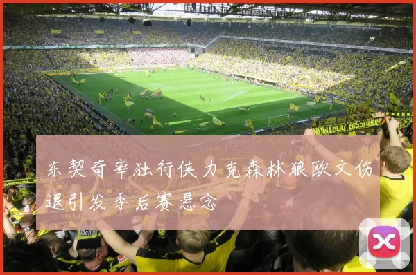 东契奇率独行侠力克森林狼欧文伤退引发季后赛悬念