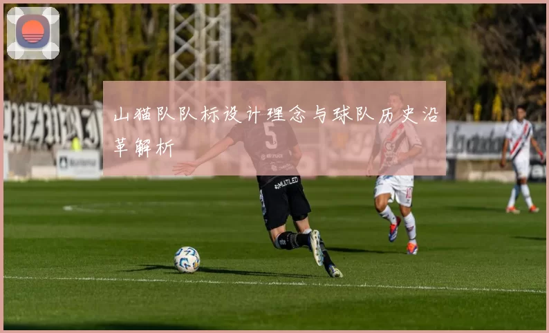 山猫队队标设计理念与球队历史沿革解析