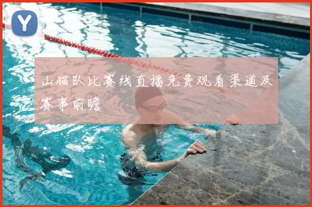 山猫队比赛线直播免费观看渠道及赛事前瞻